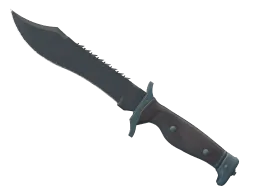 ★ Bowie Knife | Night (Minimal Wear)