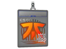 Sticker Slab | Fnatic | 2020 RMR