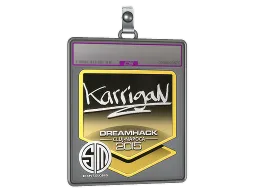 Sticker Slab | karrigan (Foil) | Cluj-Napoca 2015