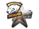 Sticker | Virtus.Pro | Cluj-Napoca 2015 CS2 skin