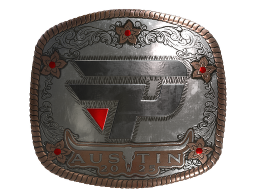 Sticker | paiN Gaming (Foil) | Austin 2025