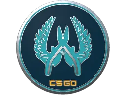 Guardian Pin CS2 skin
