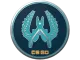 Guardian Pin CS2 skin