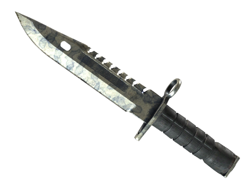 ★ M9 Bayonet | Stained (Battle-Scarred)