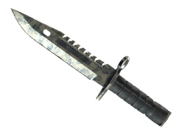 ★ M9 Bayonet | Stained (Battle-Scarred)