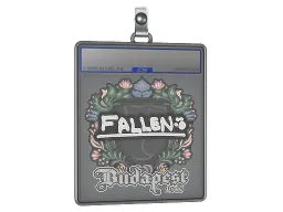 Sticker Slab | FalleN | Budapest 2025