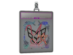 Sticker Slab | yxngstxr (Holo) | Austin 2025
