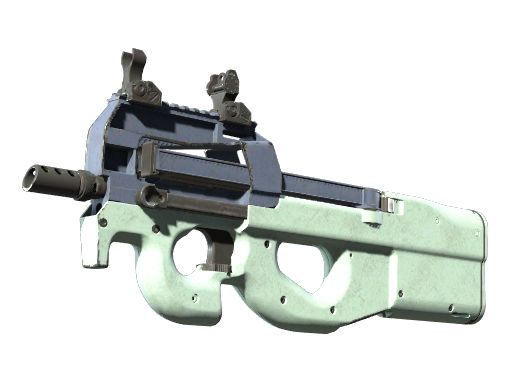 P90 | Storm (Well-Worn)