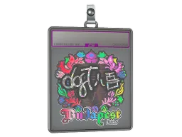 Sticker Slab | dgt (Holo) | Budapest 2025