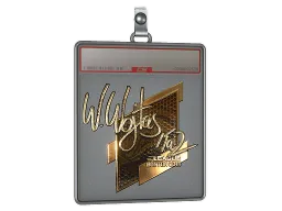 Sticker Slab | TaZ (Gold) | Boston 2018