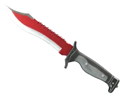 ★ Bowie Knife | Autotronic (Factory New)