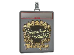 Sticker Slab | hallzerk (Gold) | Budapest 2025