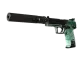 USP-S | PC-GRN CS2 skin