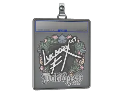 Sticker Slab | Lucaozy | Budapest 2025