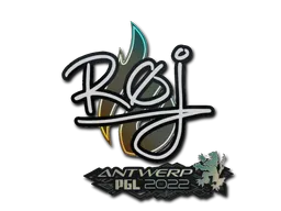 Sticker | roeJ | Antwerp 2022