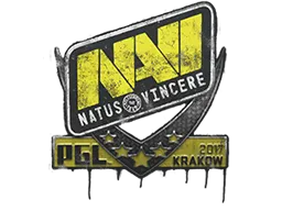 Sealed Graffiti | Natus Vincere | Krakow 2017