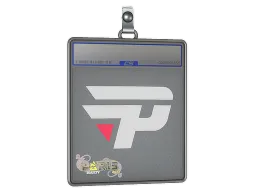 Sticker Slab | paiN Gaming | Paris 2023
