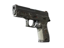 P250 | Small Game (Battle-Scarred)