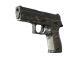 P250 | Small Game (Battle-Scarred)