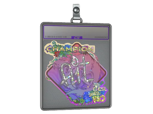 Sticker Slab | FL1T (Glitter, Champion) | Rio 2022