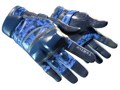 ★ Moto Gloves | Polygon (Factory New)