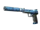 USP-S | Silent Shot CS2 skin