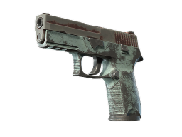 P250 | Copper Oxide (Battle-Scarred)
