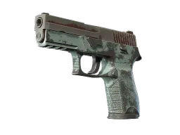 P250 | Copper Oxide (Battle-Scarred)