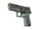 P250 | Copper Oxide CS2 skin