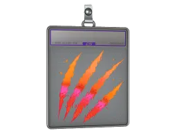 Sticker Slab | Battle Scarred (Holo)