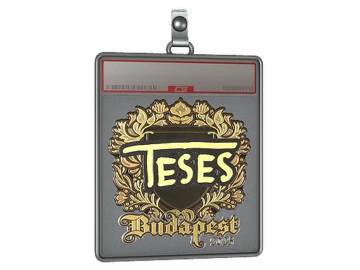 Sticker Slab | TeSeS (Gold) | Budapest 2025