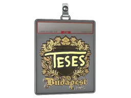 Sticker Slab | TeSeS (Gold) | Budapest 2025