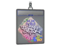 Sticker Slab | FlameZ | Rio 2022