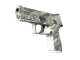 P250 | Sleet CS2 skin