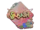 Sticker | sjuush | Rio 2022 CS2 skin