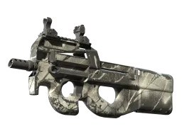 P90 | Ash Wood (Field-Tested)