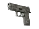 P250 | Facets CS2 skin