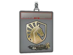 Sticker Slab | Team Liquid (Gold) | Antwerp 2022