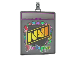 Sticker Slab | Natus Vincere (Holo) | Budapest 2025