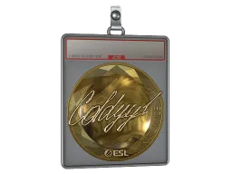 Sticker Slab | COLDYY1 (Gold) | Katowice 2019