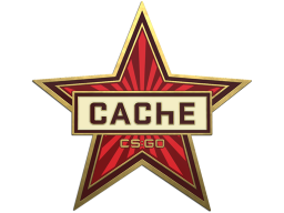 Cache Pin