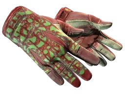 ★ Sport Gloves | Bronze Morph (Well-Worn)