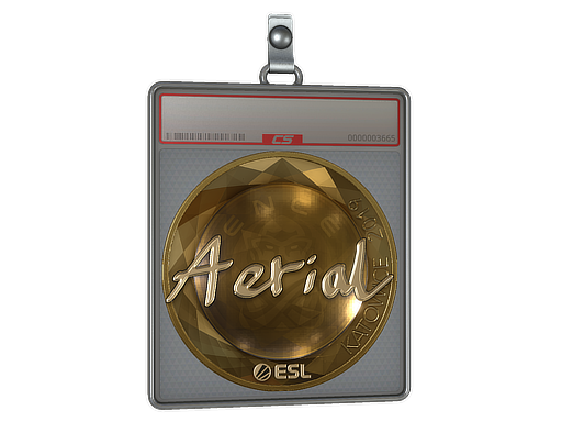 Sticker Slab | Aerial (Gold) | Katowice 2019