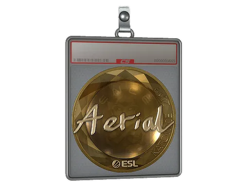 Sticker Slab | Aerial (Gold) | Katowice 2019