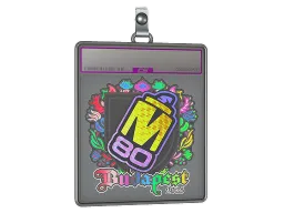 Sticker Slab | M80 (Holo) | Budapest 2025