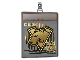 Sticker Slab | Virtus.pro (Gold) | 2020 RMR