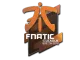 Sticker | Fnatic | Boston 2018 CS2 skin