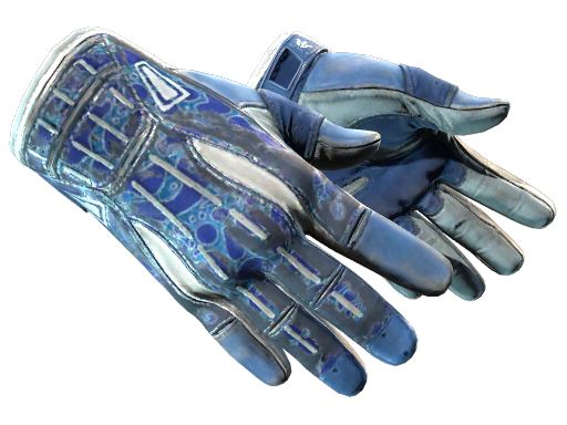 ★ Sport Gloves | Amphibious (Battle-Scarred)