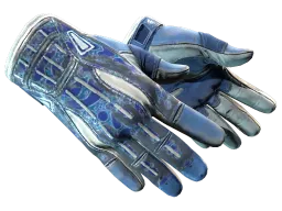 ★ Sport Gloves | Amphibious (Battle-Scarred)