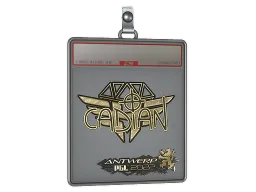 Sticker Slab | cadiaN (Gold) | Antwerp 2022